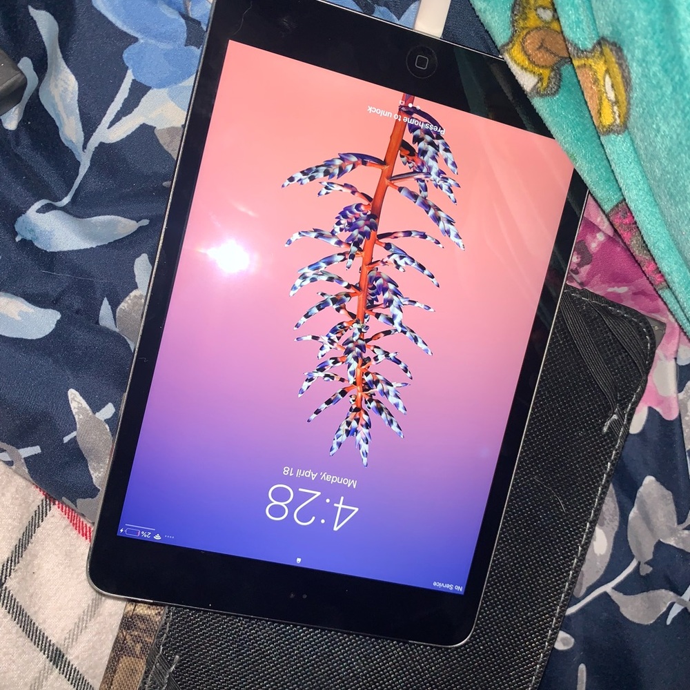 iPad mini